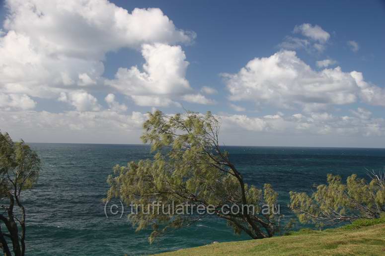 Coastline, Noosa National Park