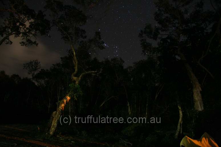 Stars from the car, Perigian Beach