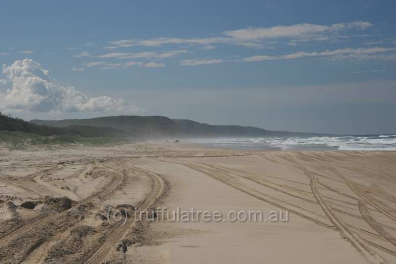 Beach destruction in the Great Sandy National Park