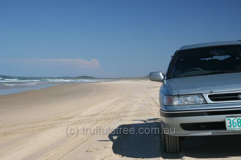 Great Sandy National Park looking south with the Nerdseyeviewmobile