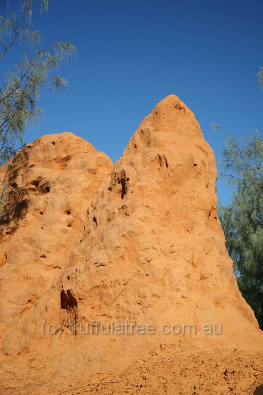 Red Canyon, Great Sandy National Park