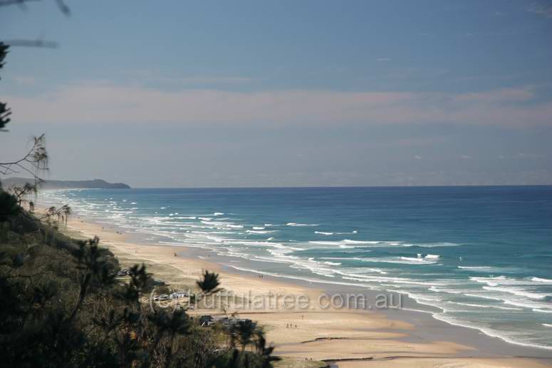 Looking North, Great Sandy National Park