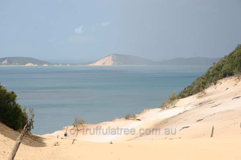 Carlo Sandblow, Rainbow Beach