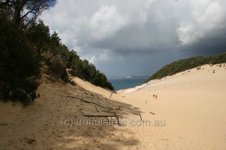 Carlo Sandblow, Rainbow Beach