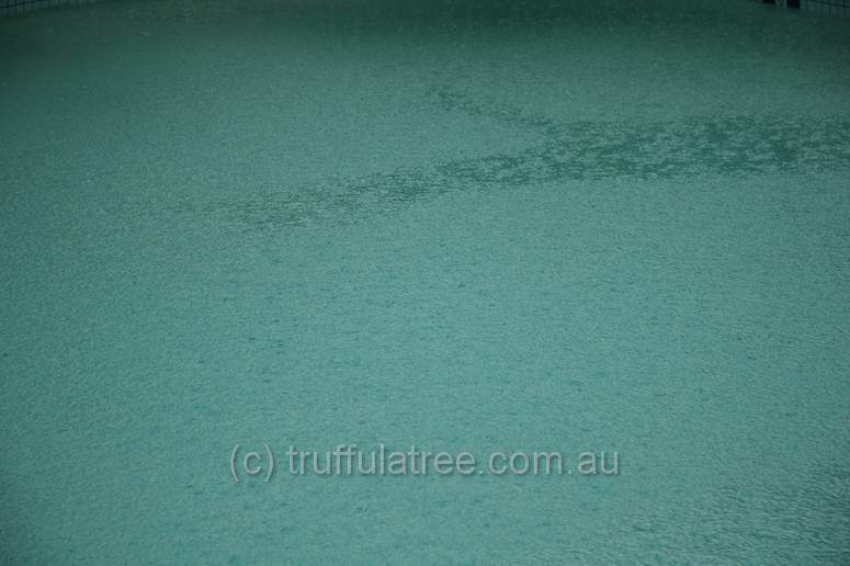 Rain on the swimming pool, Rainbow Beach