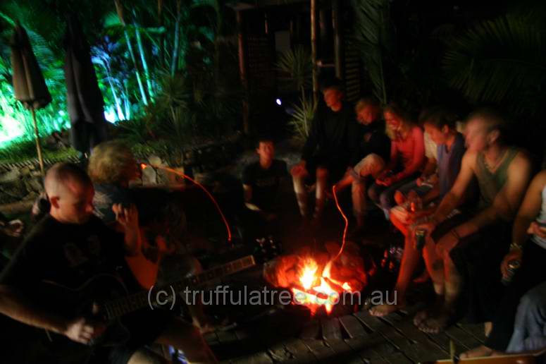 Jamming around the fire, Cool Bananas