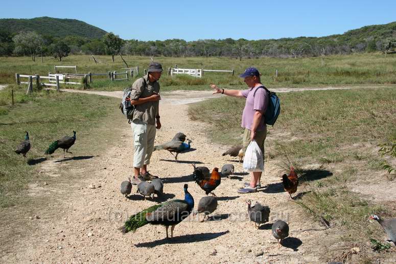 Scott, Stephan and various birds