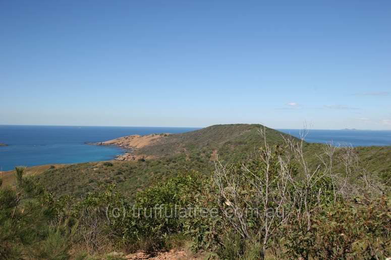 Looking to the Lighthouse, Great Keppel Island