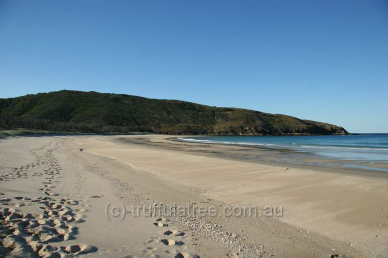 Wreck Beach, Great Keppel Island