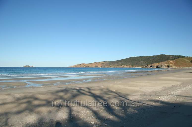 Wreck Beach, Great Keppel Island