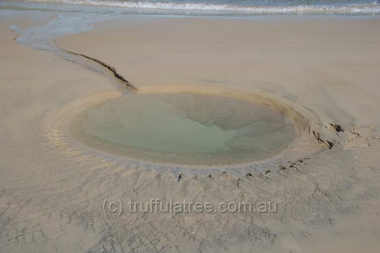 Interesting tidal drainage patterns in the sand, Great Keppel Island