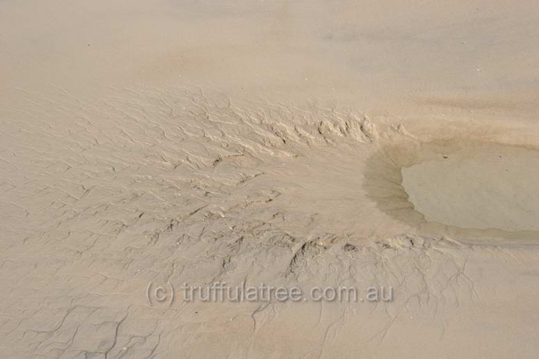 Interesting tidal drainage patterns in the sand, Great Keppel Island