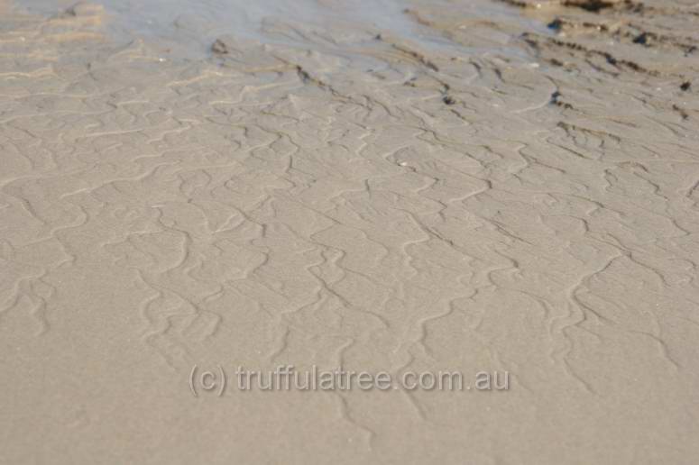 Interesting tidal drainage patterns in the sand, Great Keppel Island