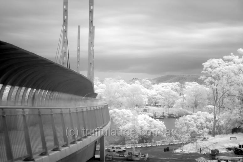 Eleanor Schonell Bridge in near infrared