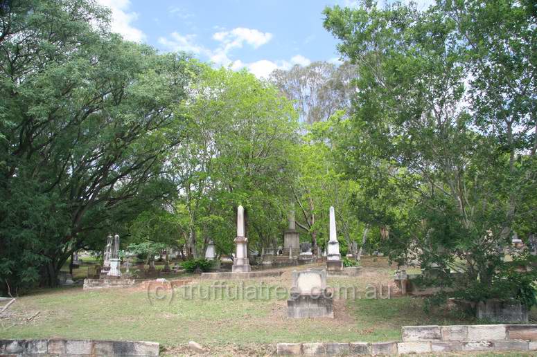 Dutton Park Cemetary