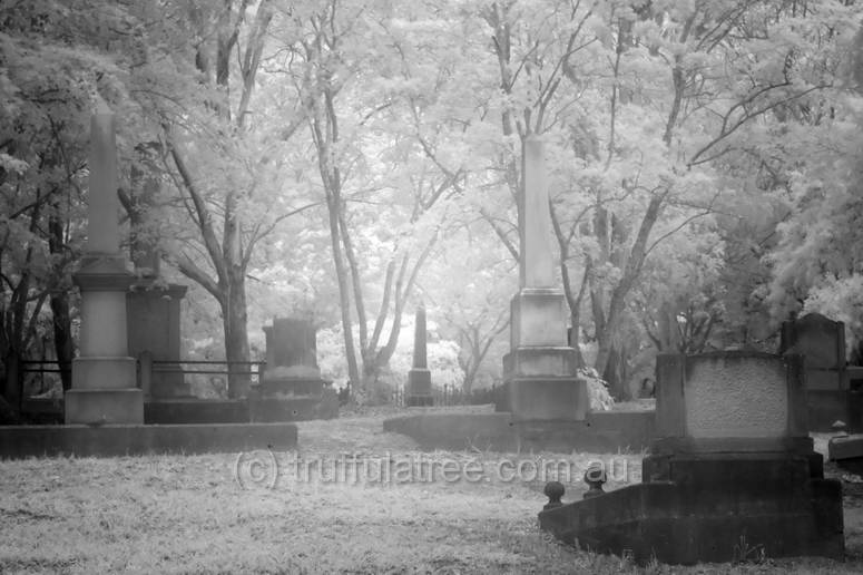 Dutton Park Cemetary in near Infrared