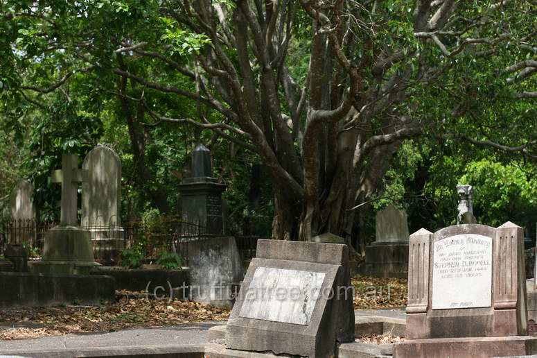 Dutton Park Cemetary