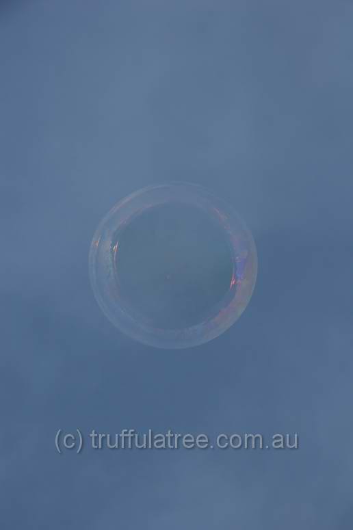 A large bubble