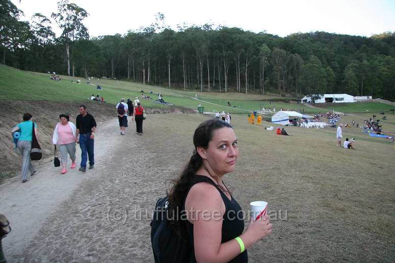 The Amphitheatre before the fire event