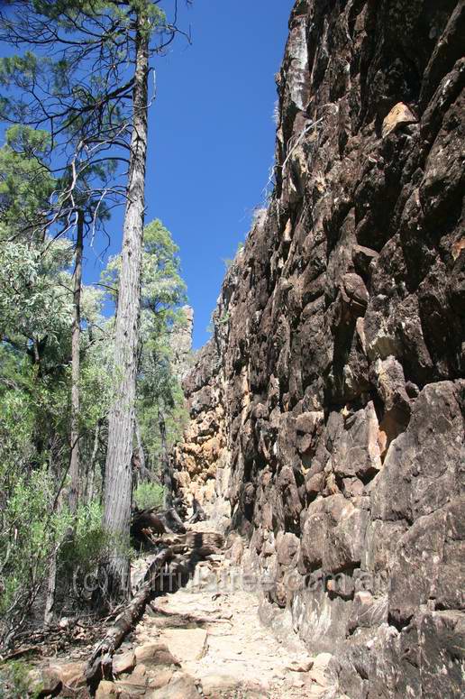 The Breadknife, Warrumbungle National Park