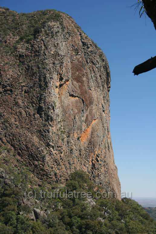 Bluff Mountain, Warrumbungle National Park