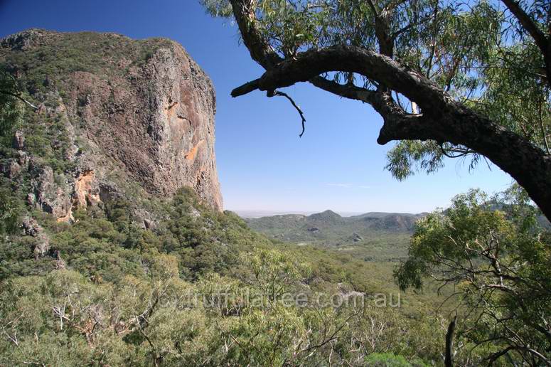 Bluff Mountain, Warrumbungle National Park