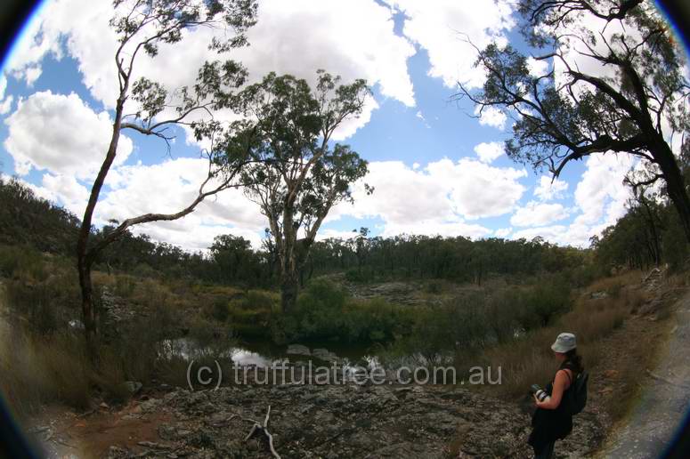 Kings Plains National Park