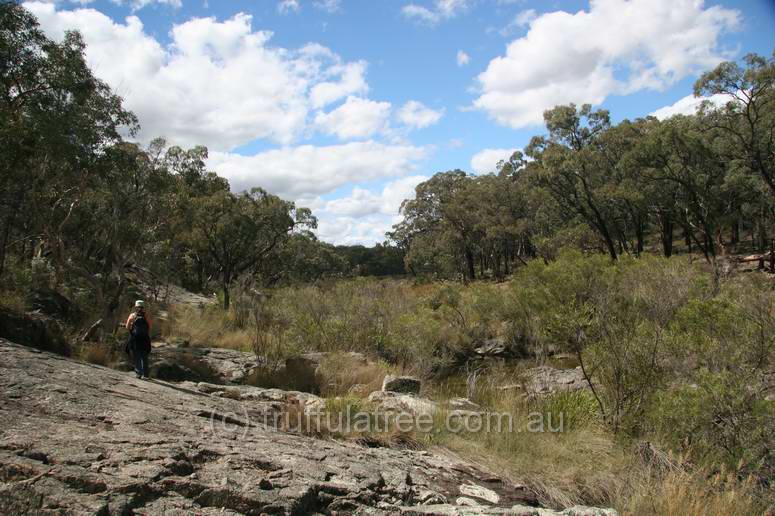 Kings Plains National Park