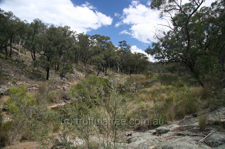 Kings Plains National Park