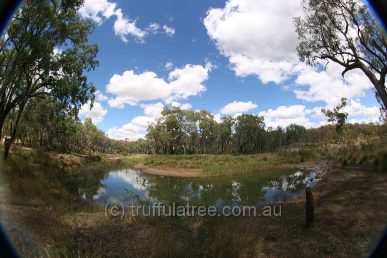 Kings Plains National Park