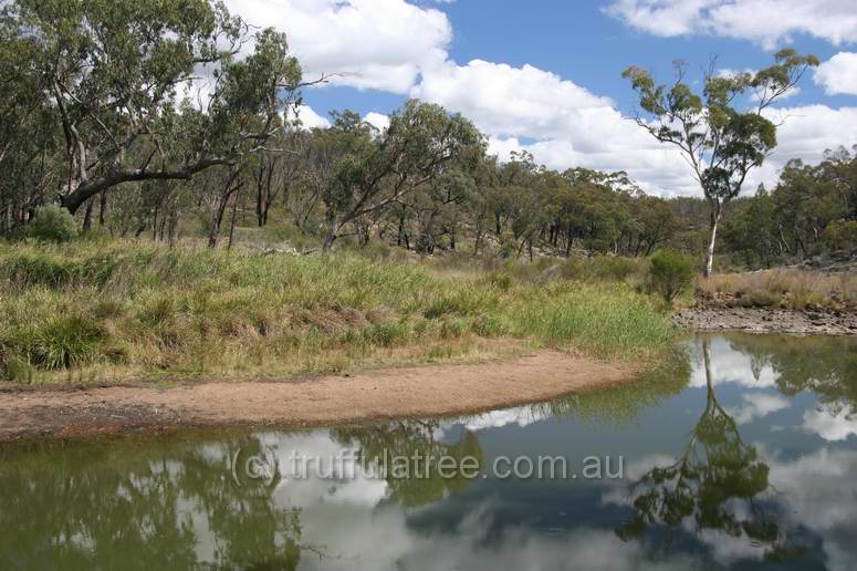 Kings Plains National Park