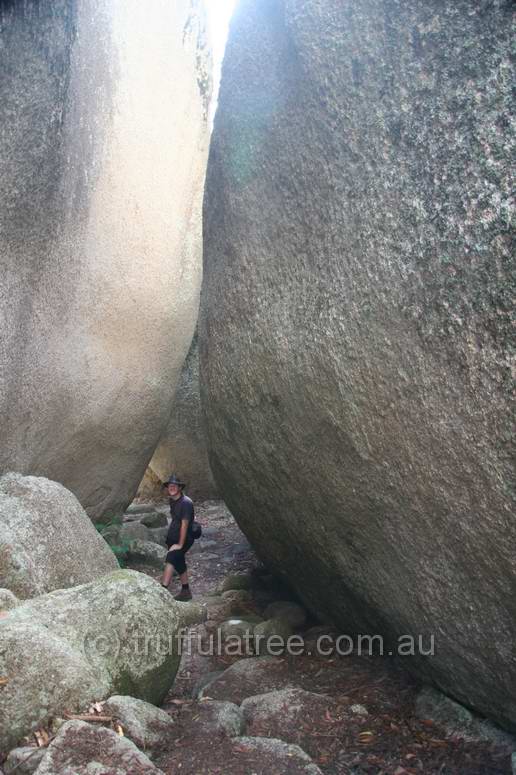 Bald Rock