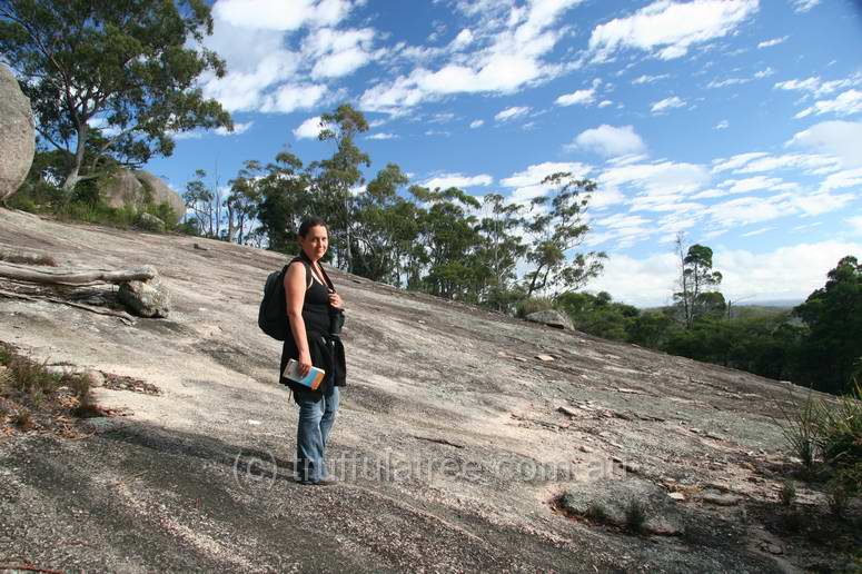 Bald Rock