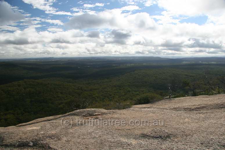 Bald Rock