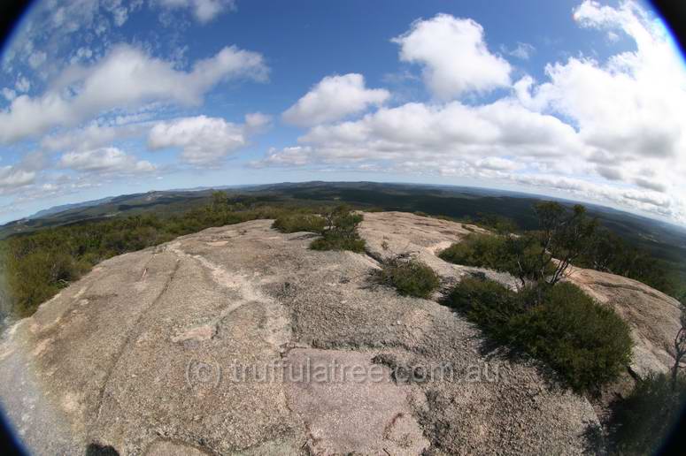 Bald Rock