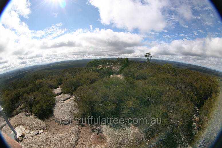 Bald Rock