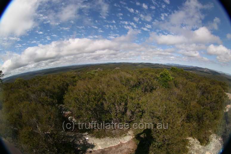 Bald Rock