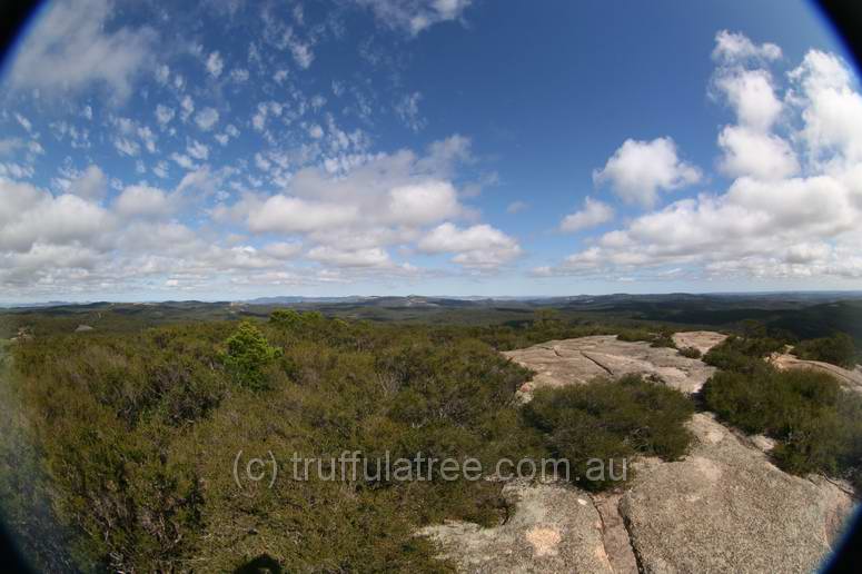 Bald Rock