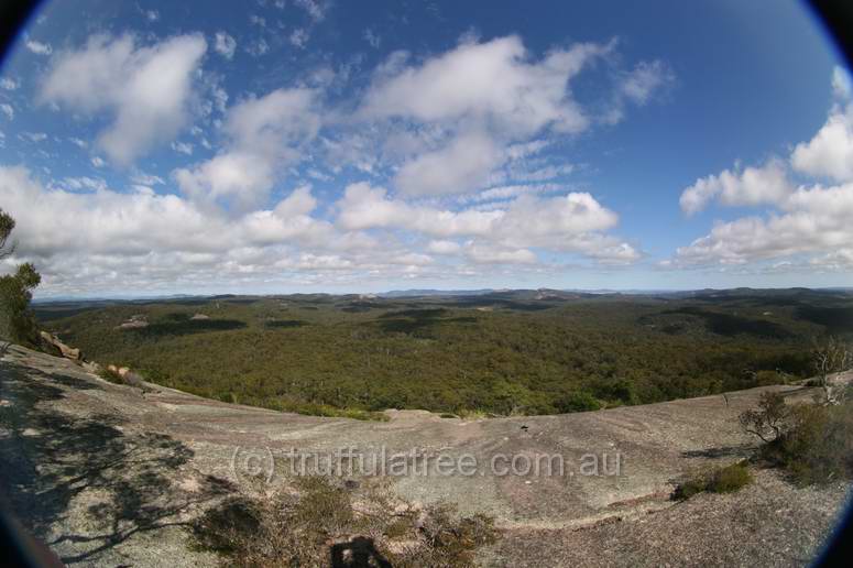 Bald Rock