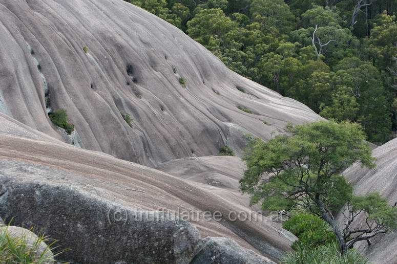 Bald Rock