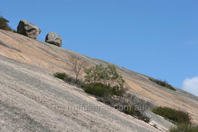 Bald Rock