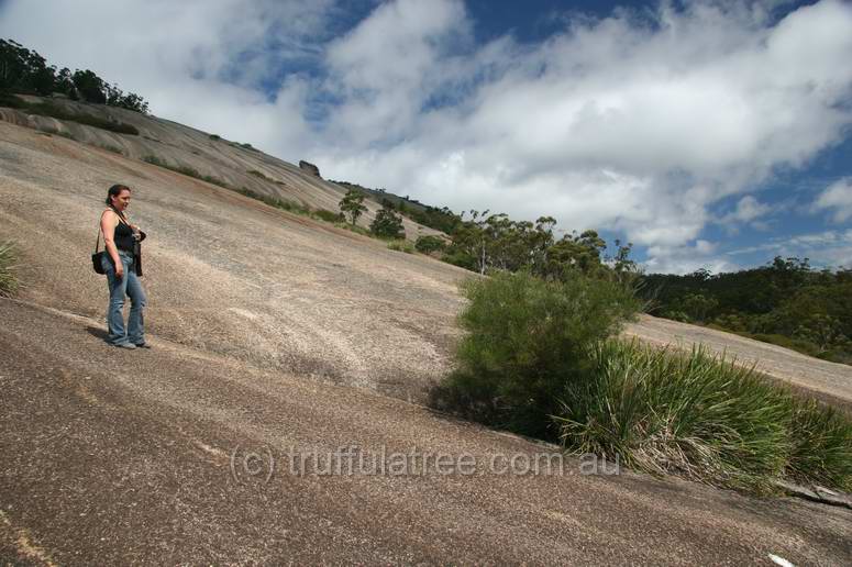 Bald Rock