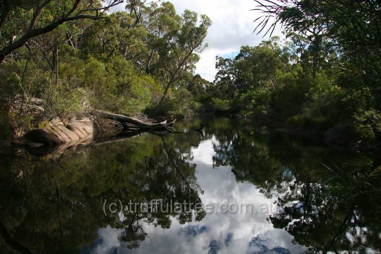 Dr Roberts Waterhole, Girraween National Park