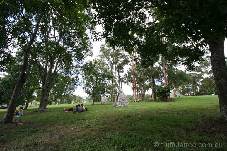 Relaxing on the hill