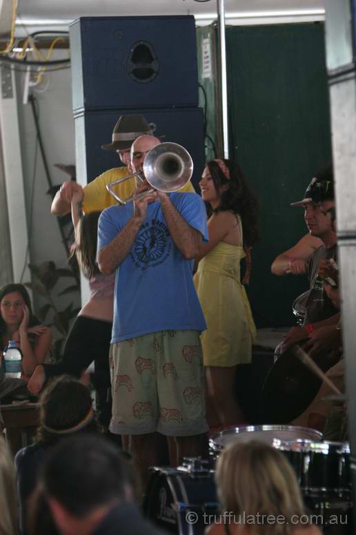 Mal Webb jamming at the Chai Tent