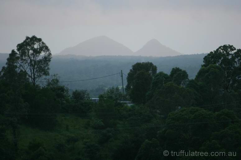 The Glasshouse Mountains from the Amphitheatre