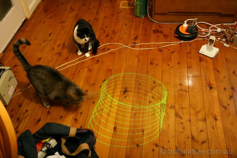 Cats and lasers