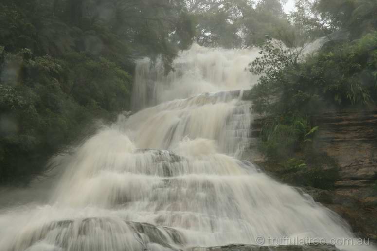 The Cascades cascading