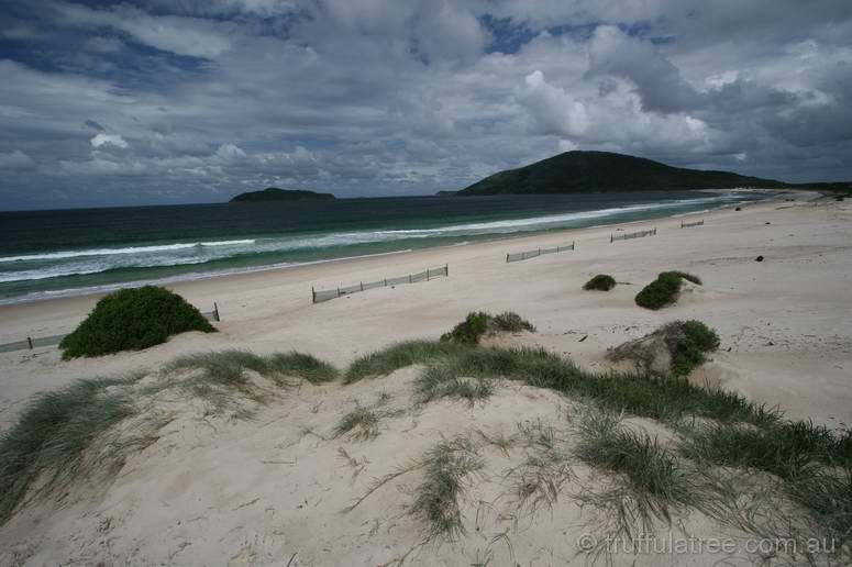 Yacaaba Head