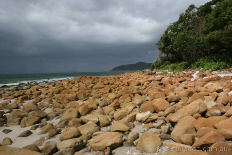 Yacaaba Head